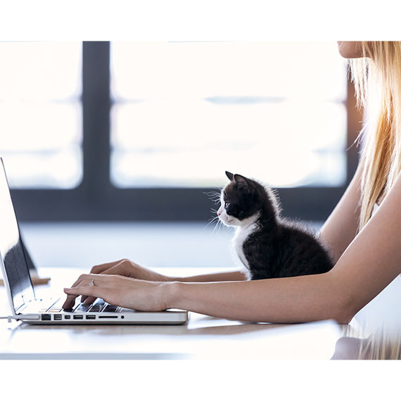 Frau mit Katze am Laptop