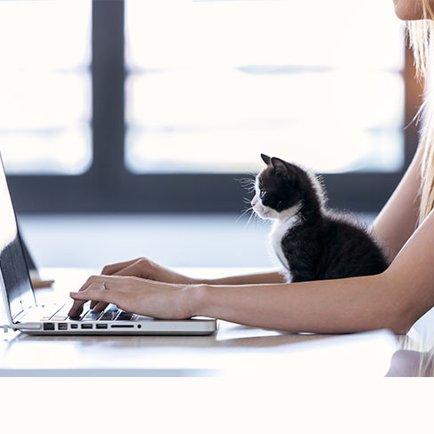 Frau mit Katze am Laptop