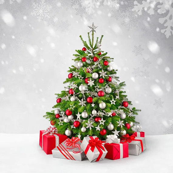 Weihnachtsbaum mit Kugeln im Schnee